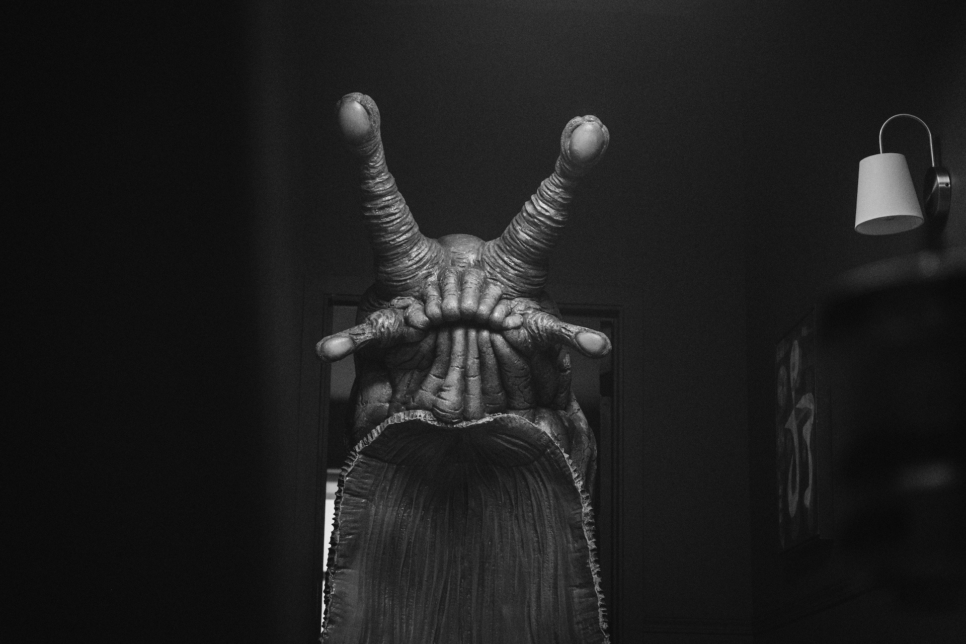 Help Get "The Thing Inside Her" Out! (To Festivals) campaign photo, 7 of 8