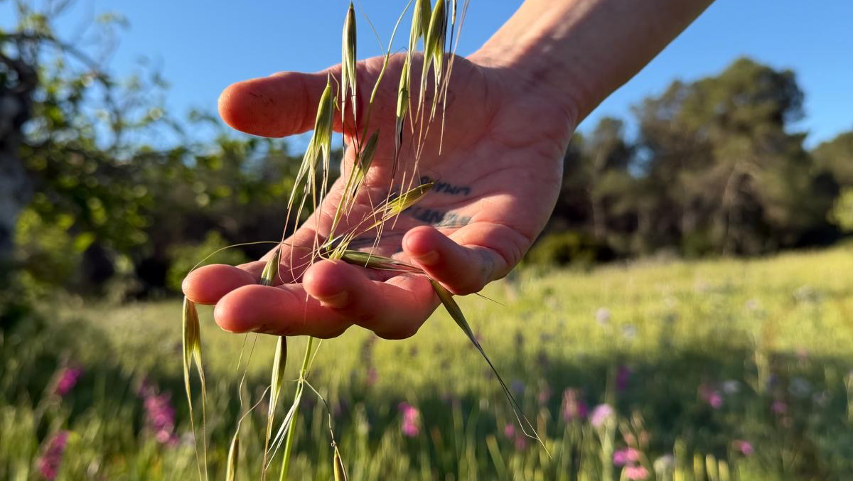 PACT (Produce. Agriculture. Community. Trust.) photo