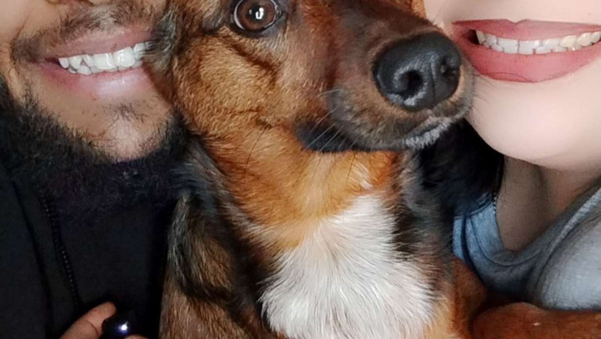 Please help family in need of shelter and food photo