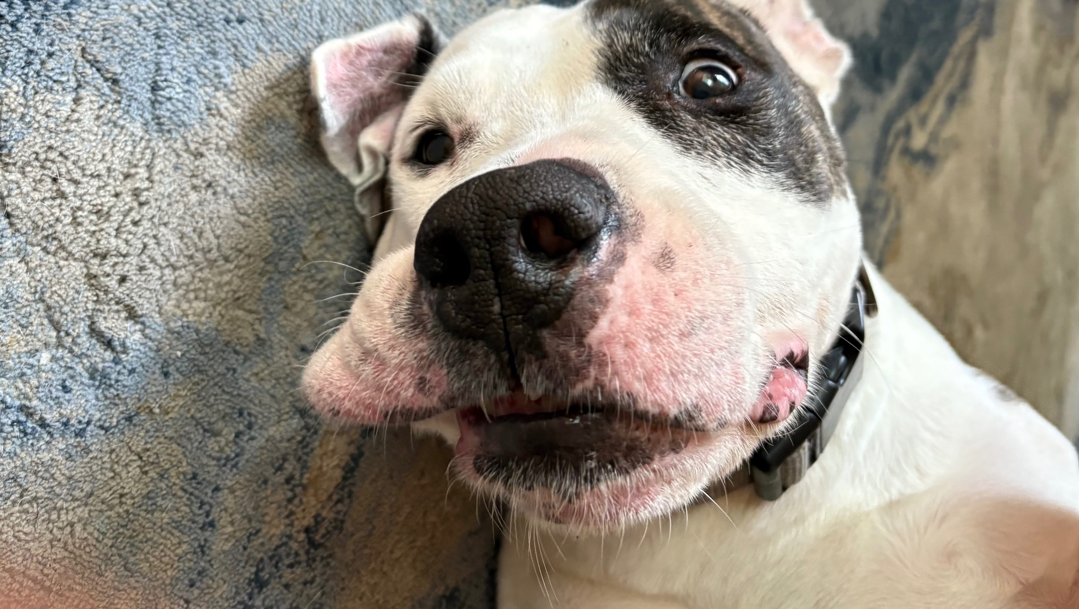 Help Caiso Get Life-Saving Surgery photo