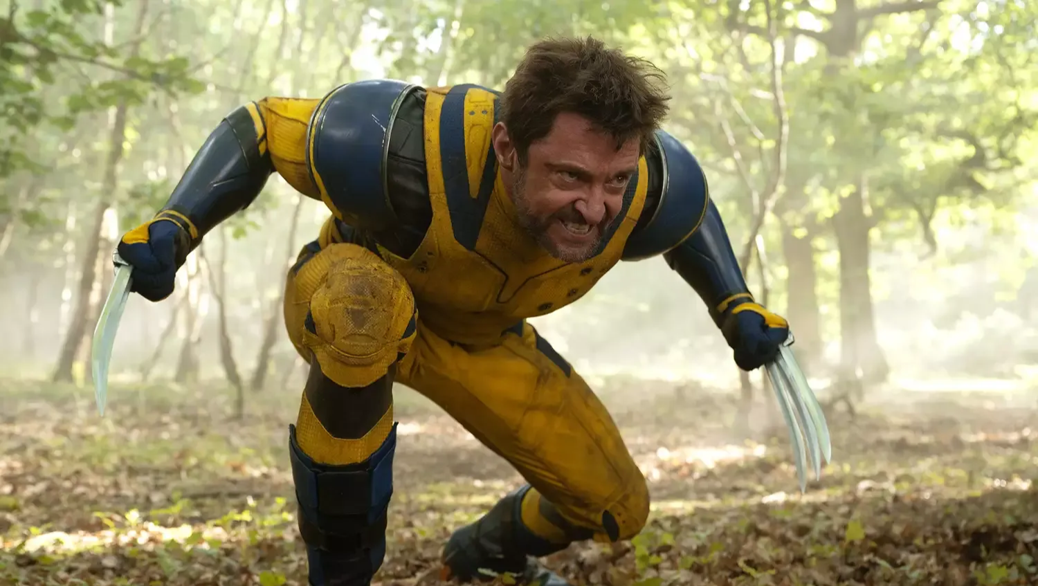 Help me become The Wolverine photo
