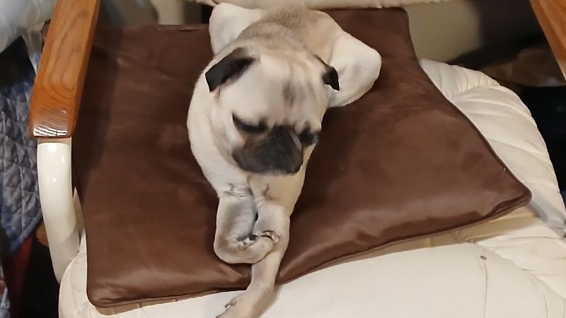 Urgent: Help RoRo Secure a Safe Place photo