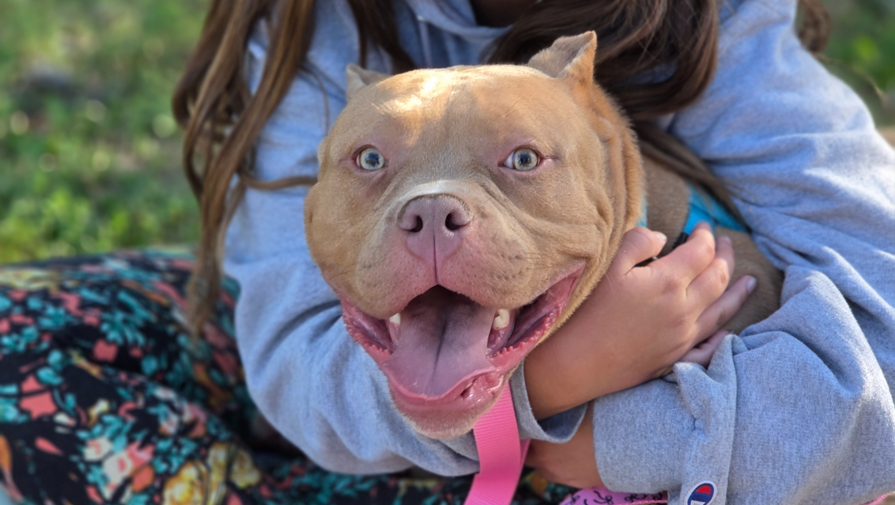 Help Save Traitor’s Life with Urgent Surgery photo