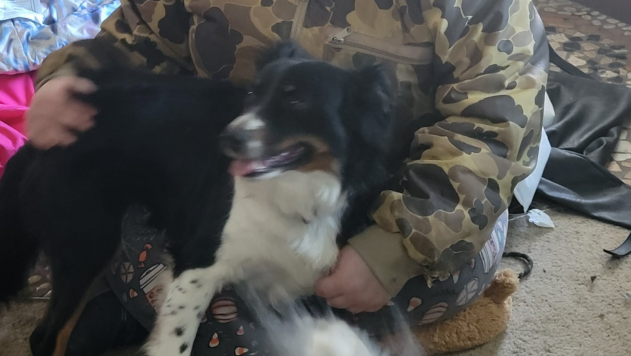 Help Kiara Launch Lunawolfpup and Care for Percy photo