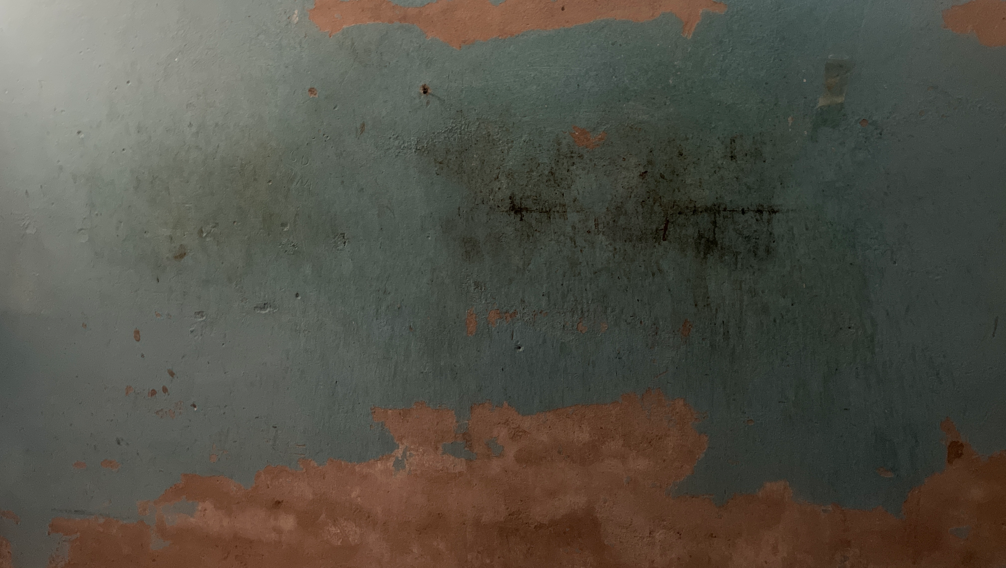 Help Shanniella Build a Safe and Stable Life photo