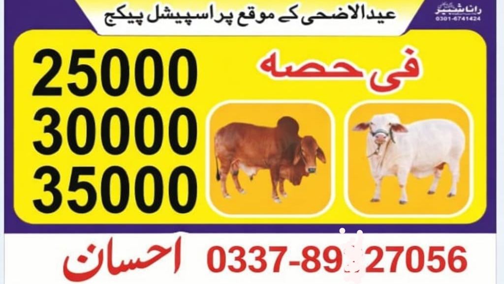 Donate to Spread Love and Harmony This Eid photo