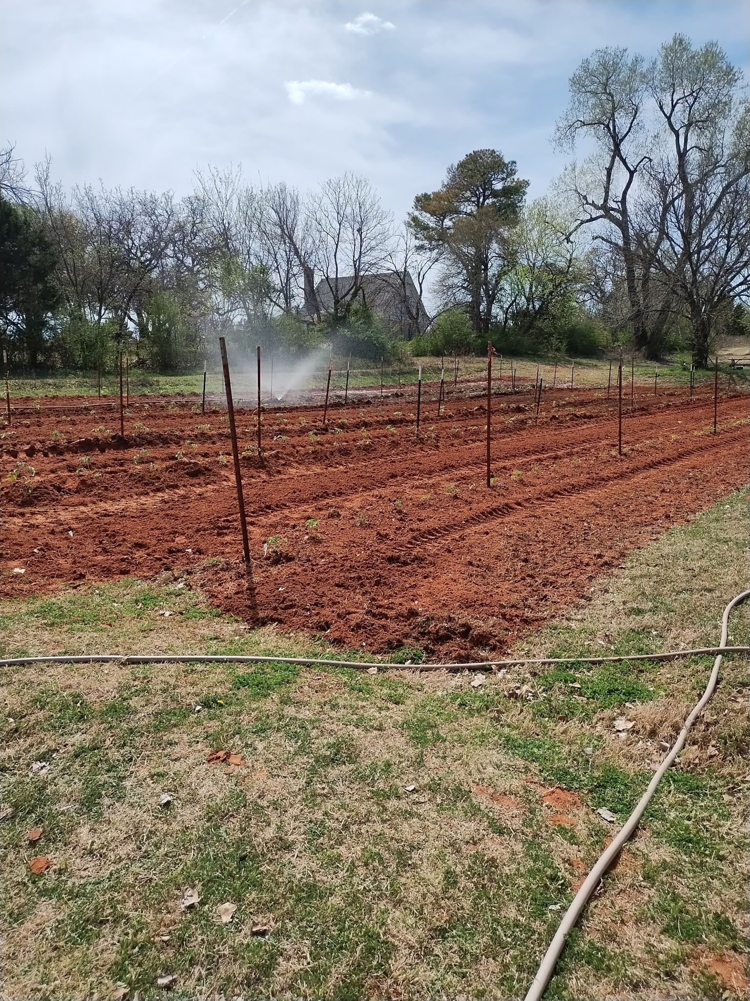 Help Teresa Keep Her Farm campaign photo, 4 of 7