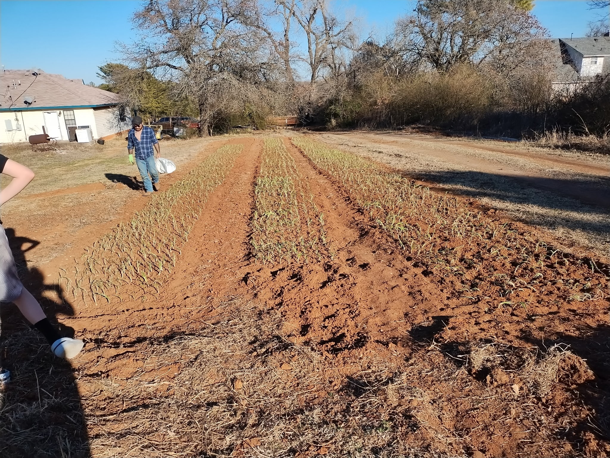 Help Teresa Keep Her Farm campaign photo, 5 of 7