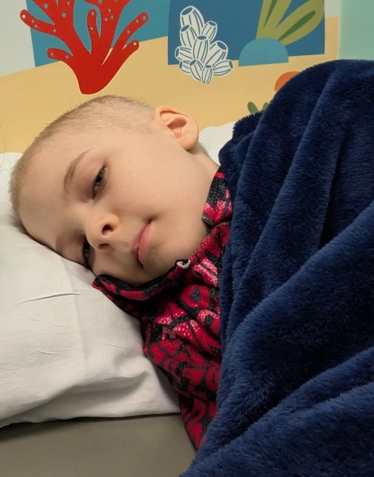 Help our friend Angela while her son Cosmo fights cancer campaign photo, 5 of 8