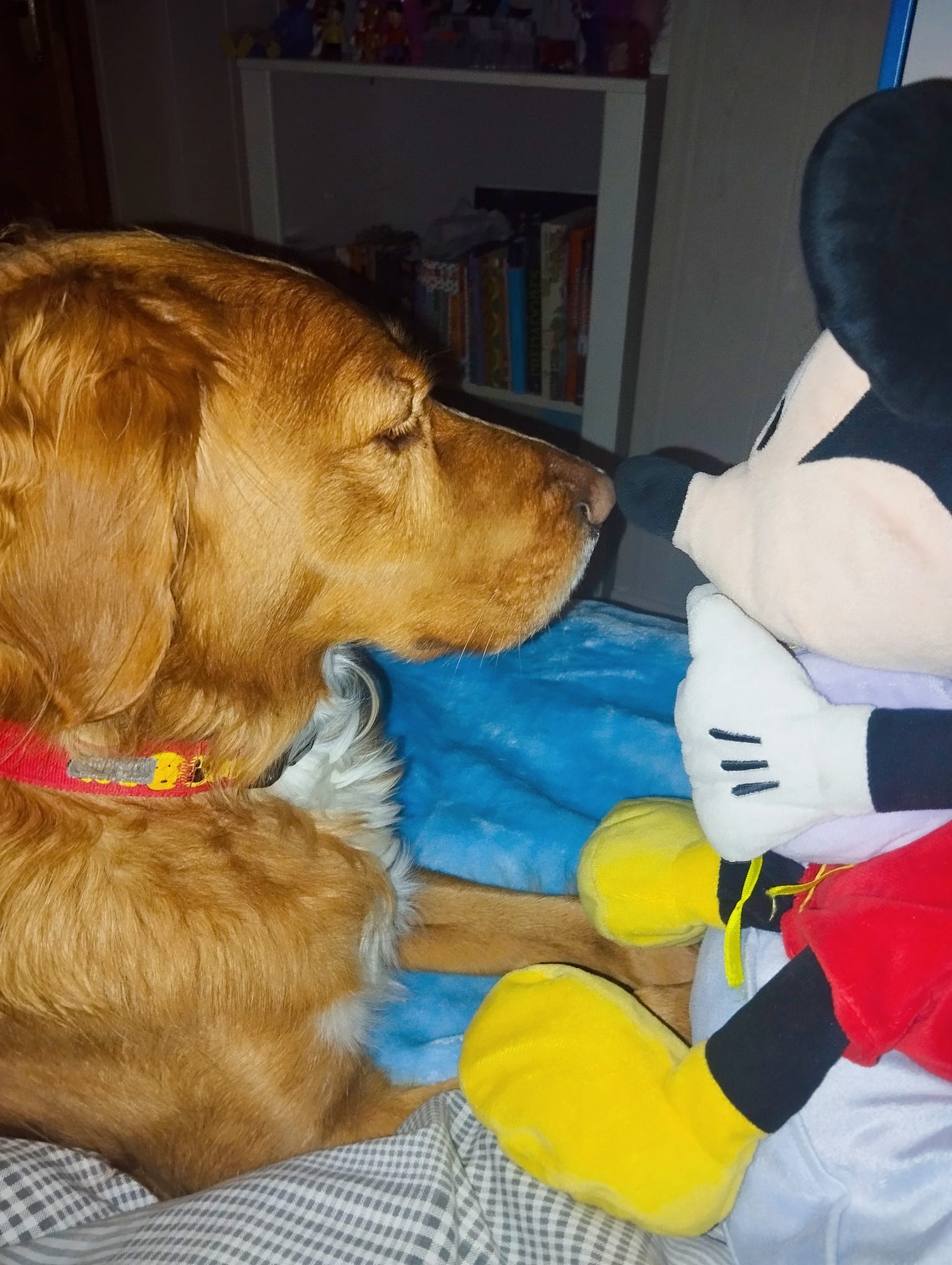 Bowie necesita seguir creciendo junto a sus hermanitos campaign photo, 2 of 4