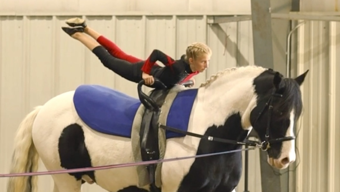 Vaulting Camp Fundraiser for Sawyer in Alberta, Canada photo