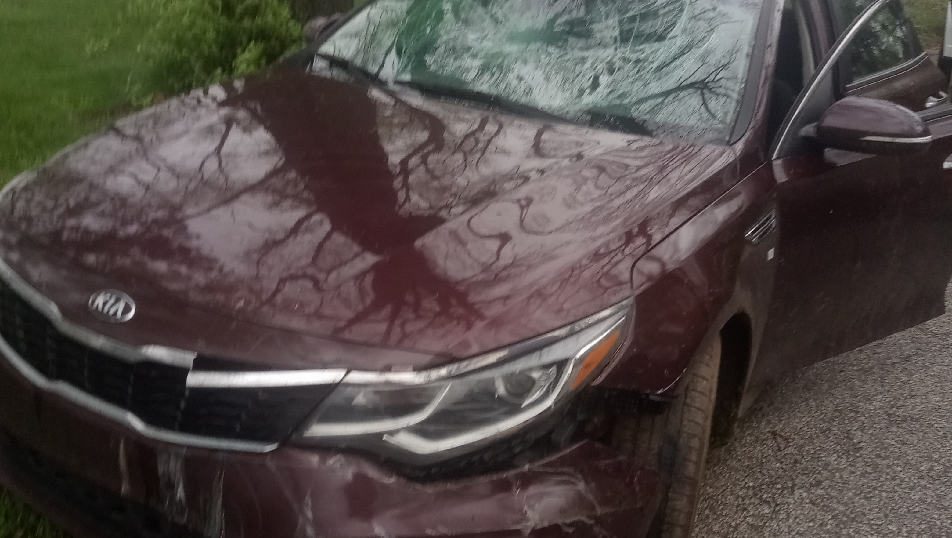 Help Katlynn's Family Replace Their Stolen Car photo