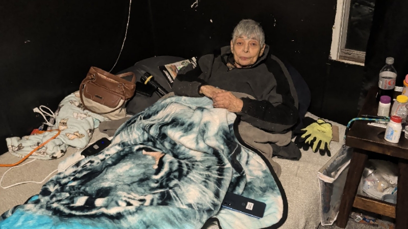 Support for 81-Year-Old and Her 4 Dogs photo