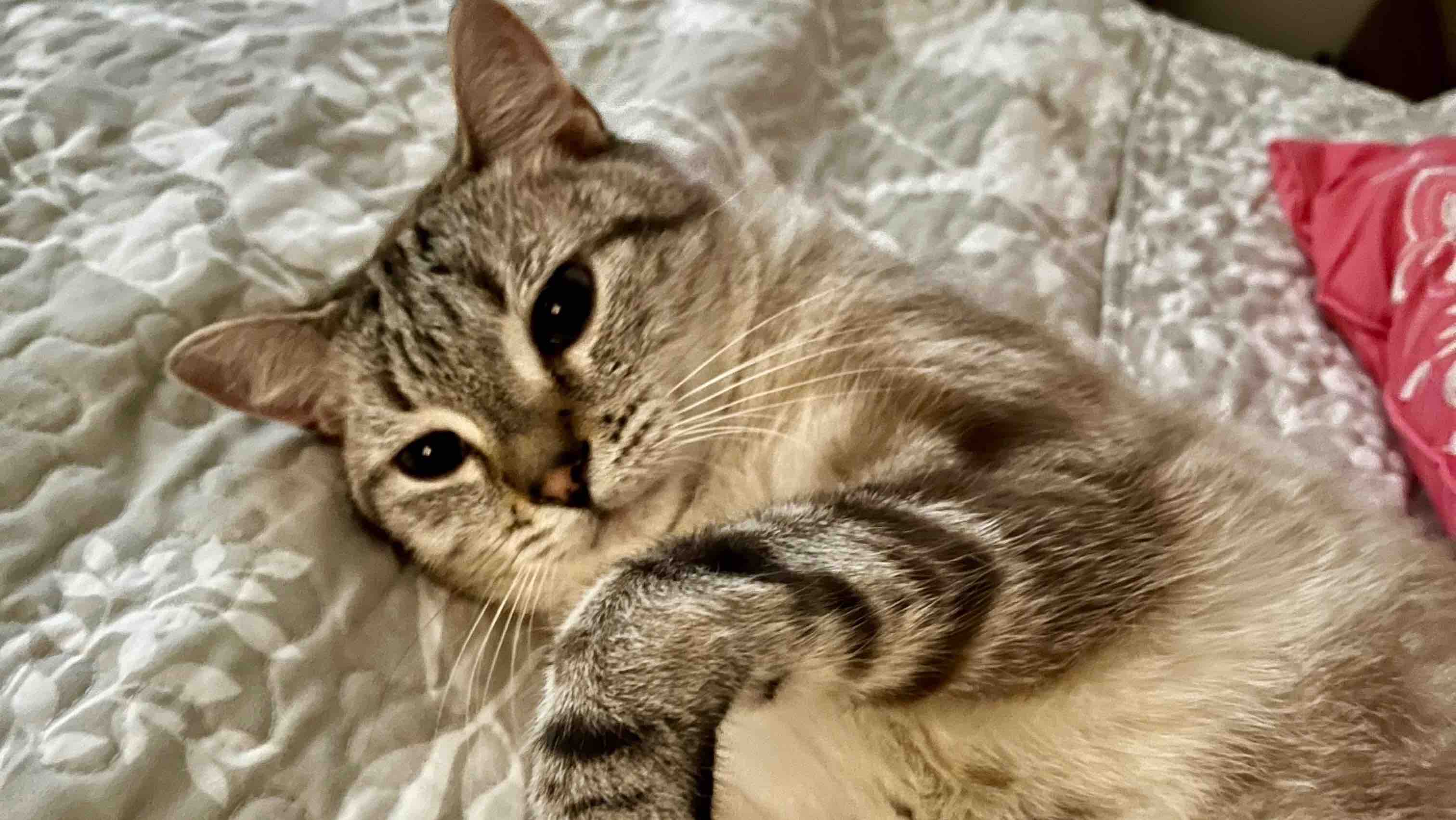 Help Bernie Get The Care He Needs photo