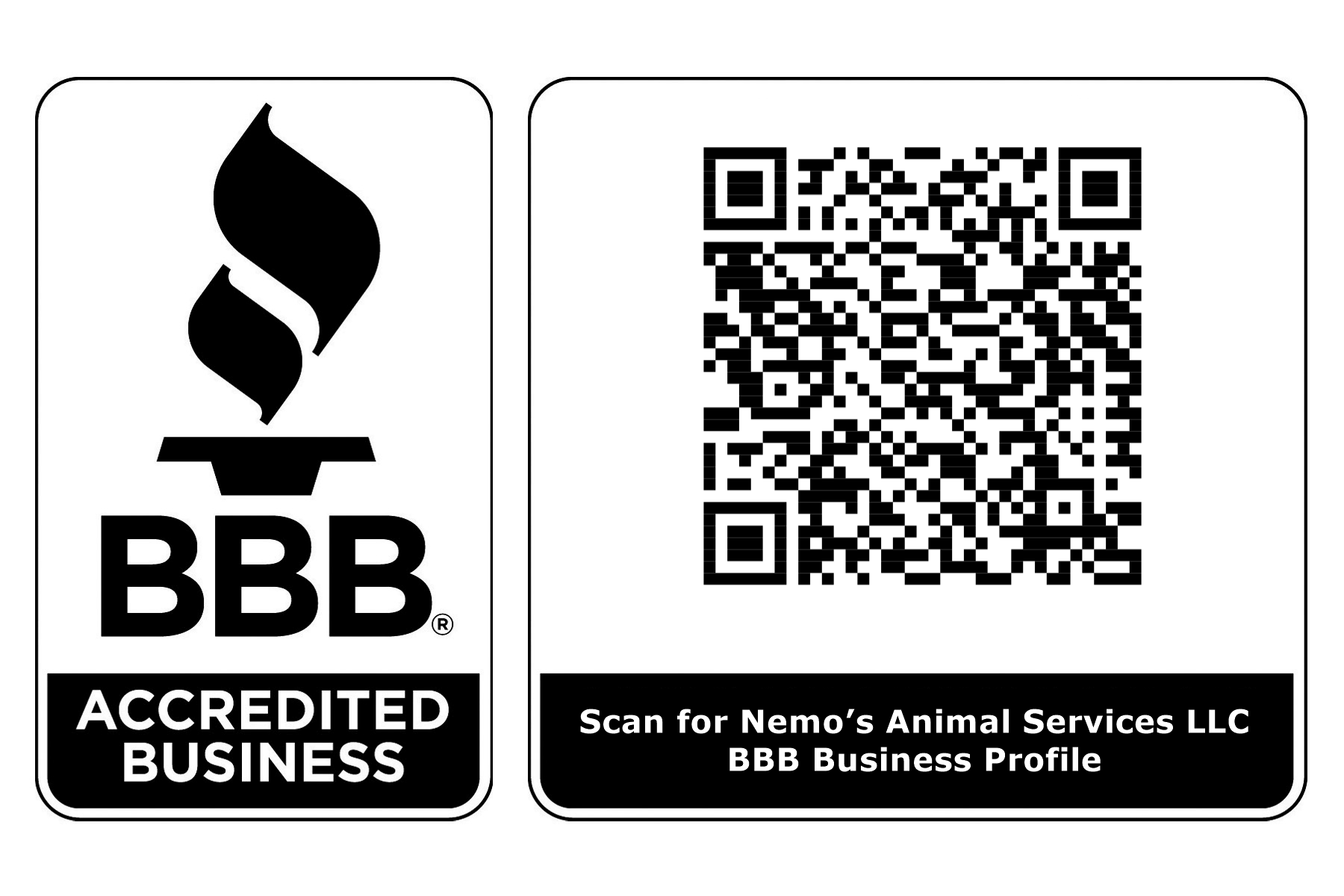 Bring animal care and petsitting to your home! campaign photo, 2 of 7