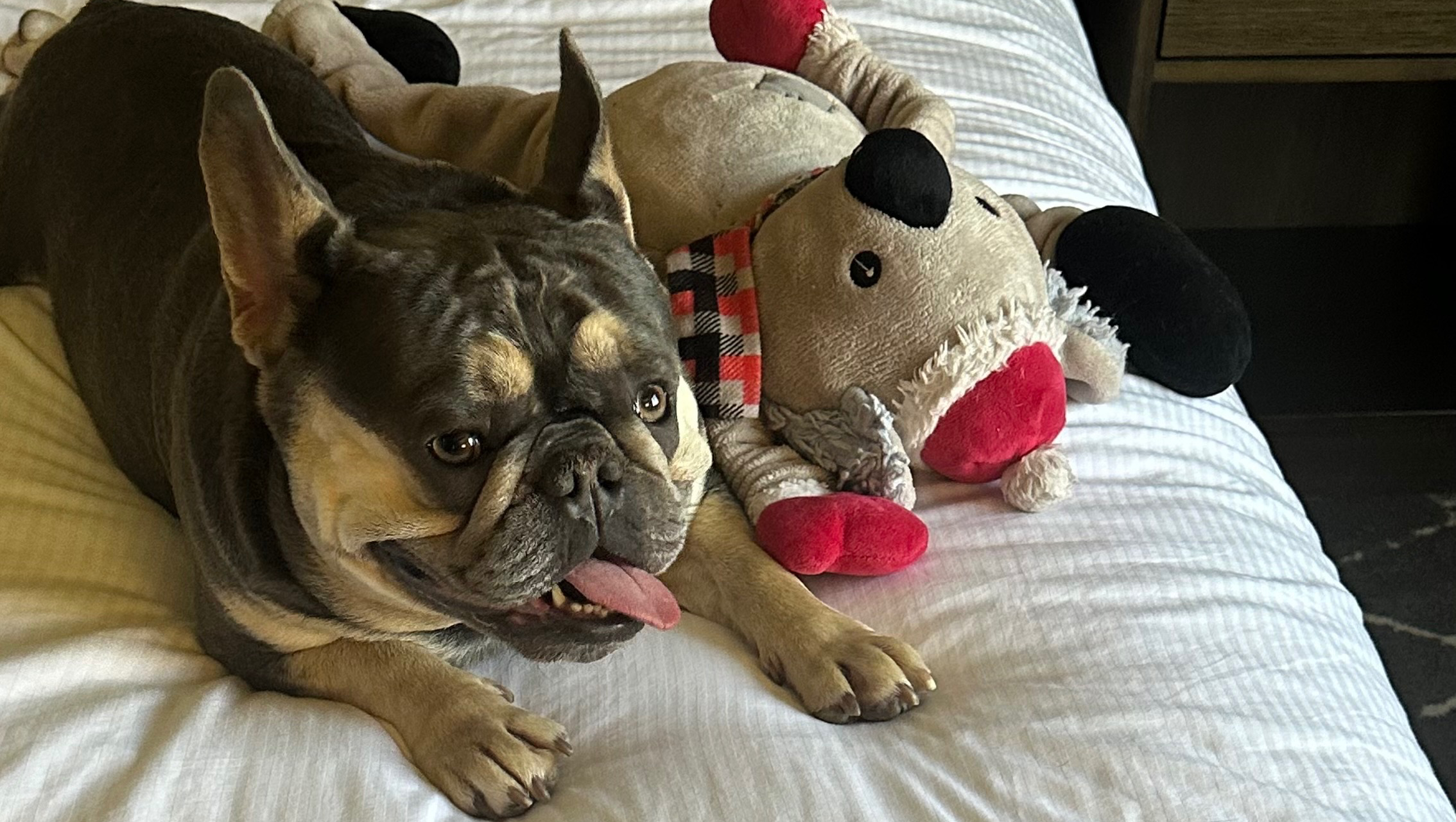 Help Kilo Get Life-Saving Surgery photo