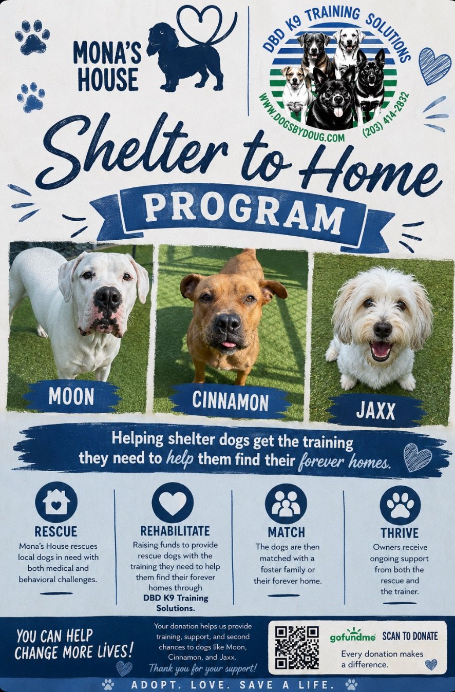 Shelter to Home Program campaign photo, 2 of 4