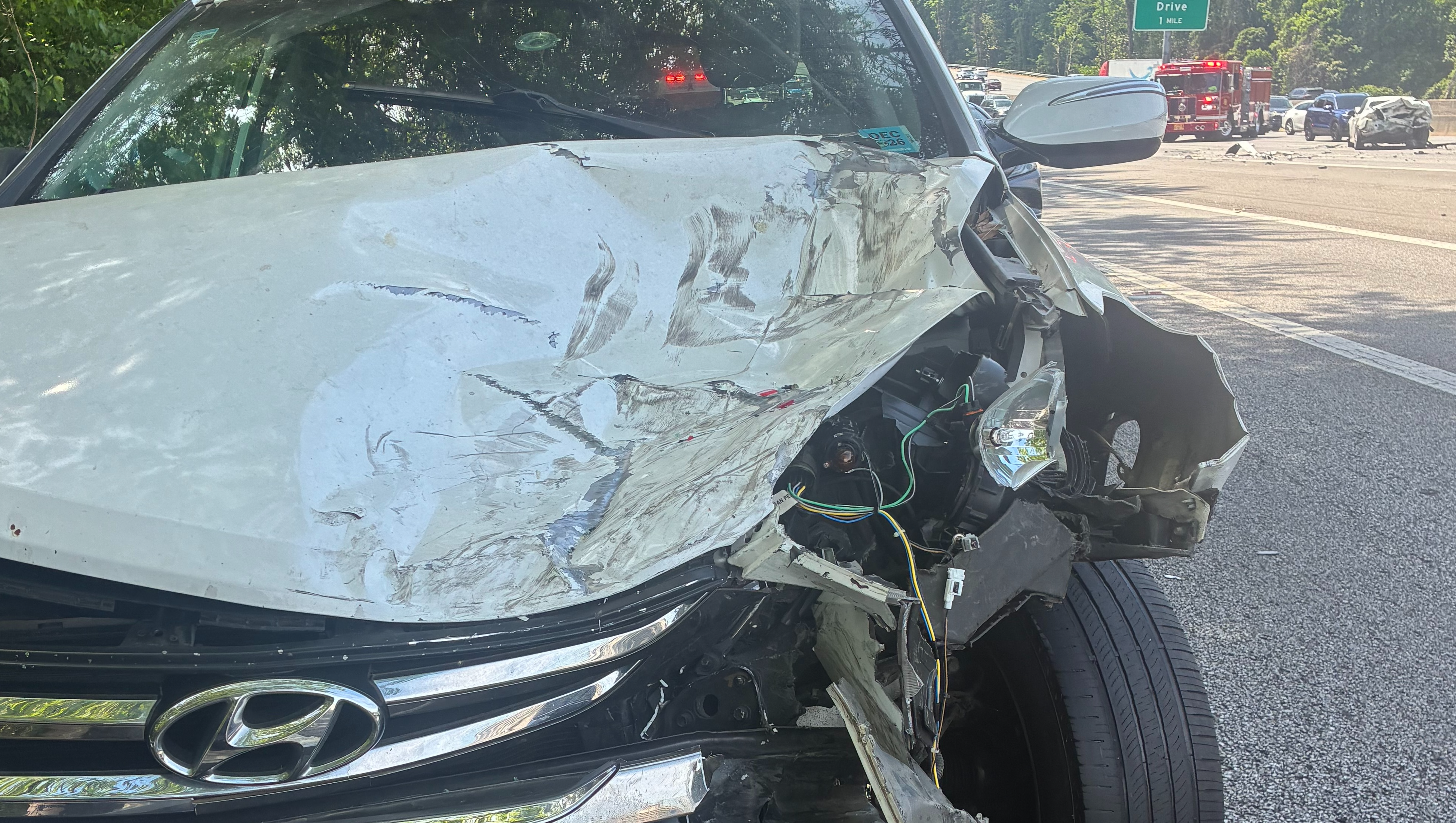 Help Maika Recover After a Traumatic Car Accident & Rebuild photo