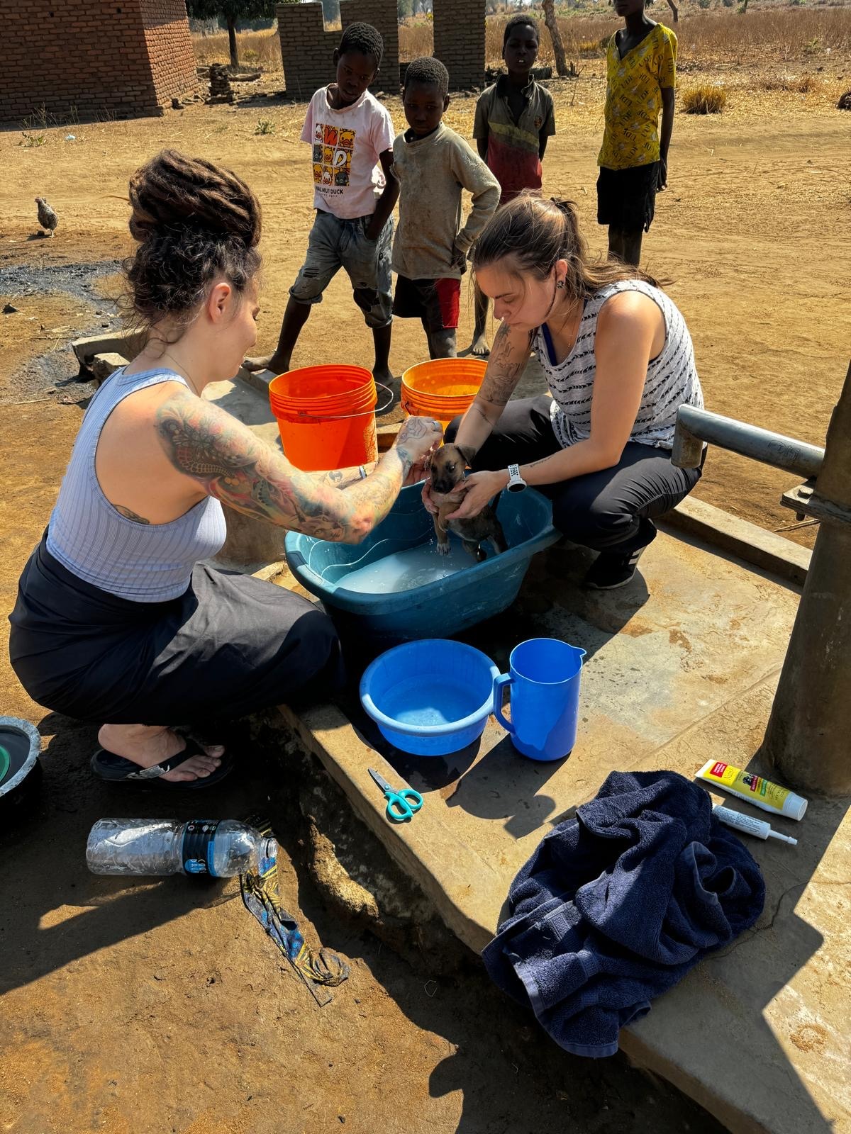 Life Changing Spay And Neuter Clinic in Salima, Malawi campaign photo, 5 of 8
