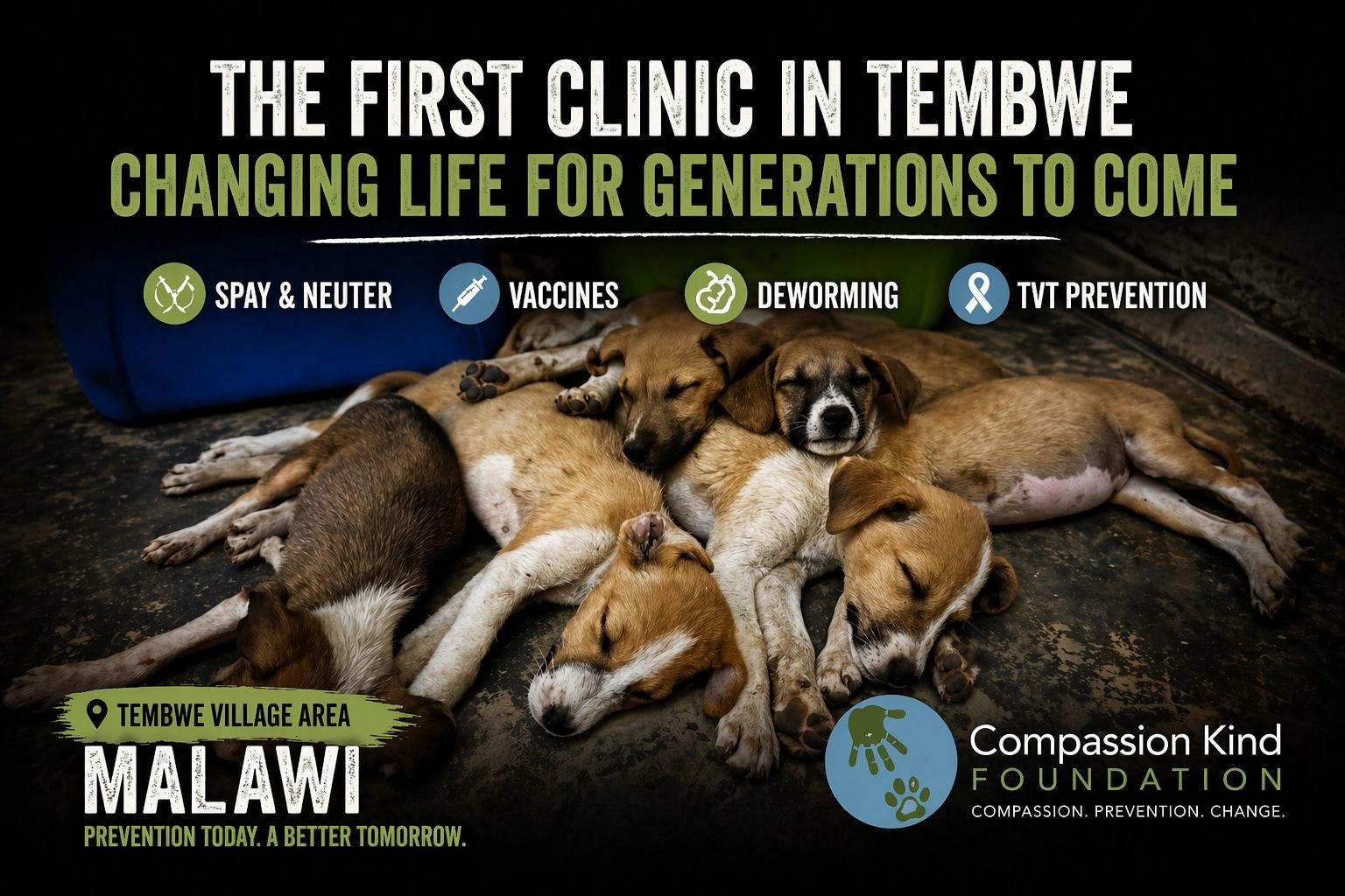 Life Changing Spay And Neuter Clinic in Salima, Malawi campaign photo, 6 of 8