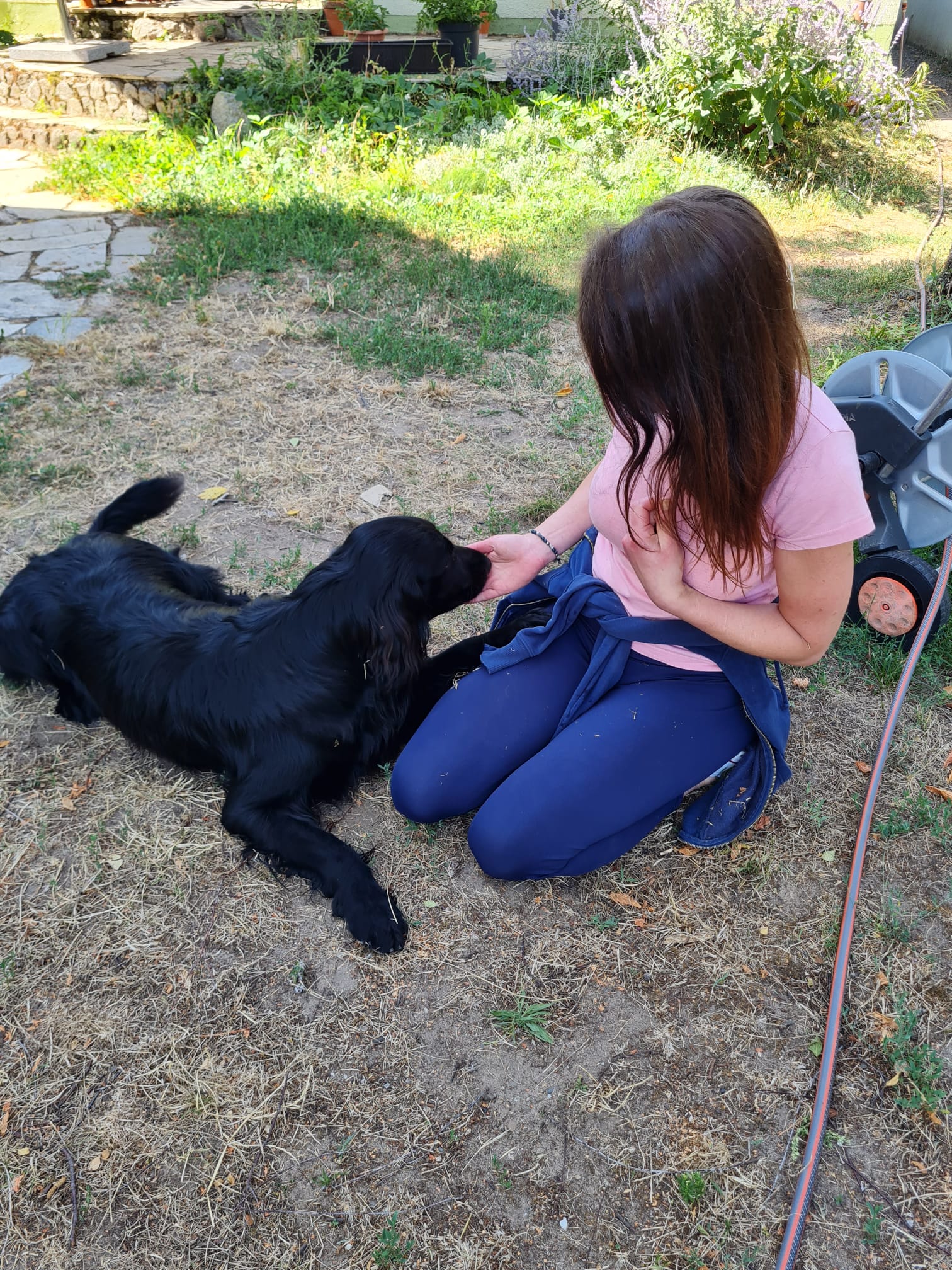 Assistenzhund nach Schlaganfall und chronischem Blutkrebs campaign photo, 4 of 5