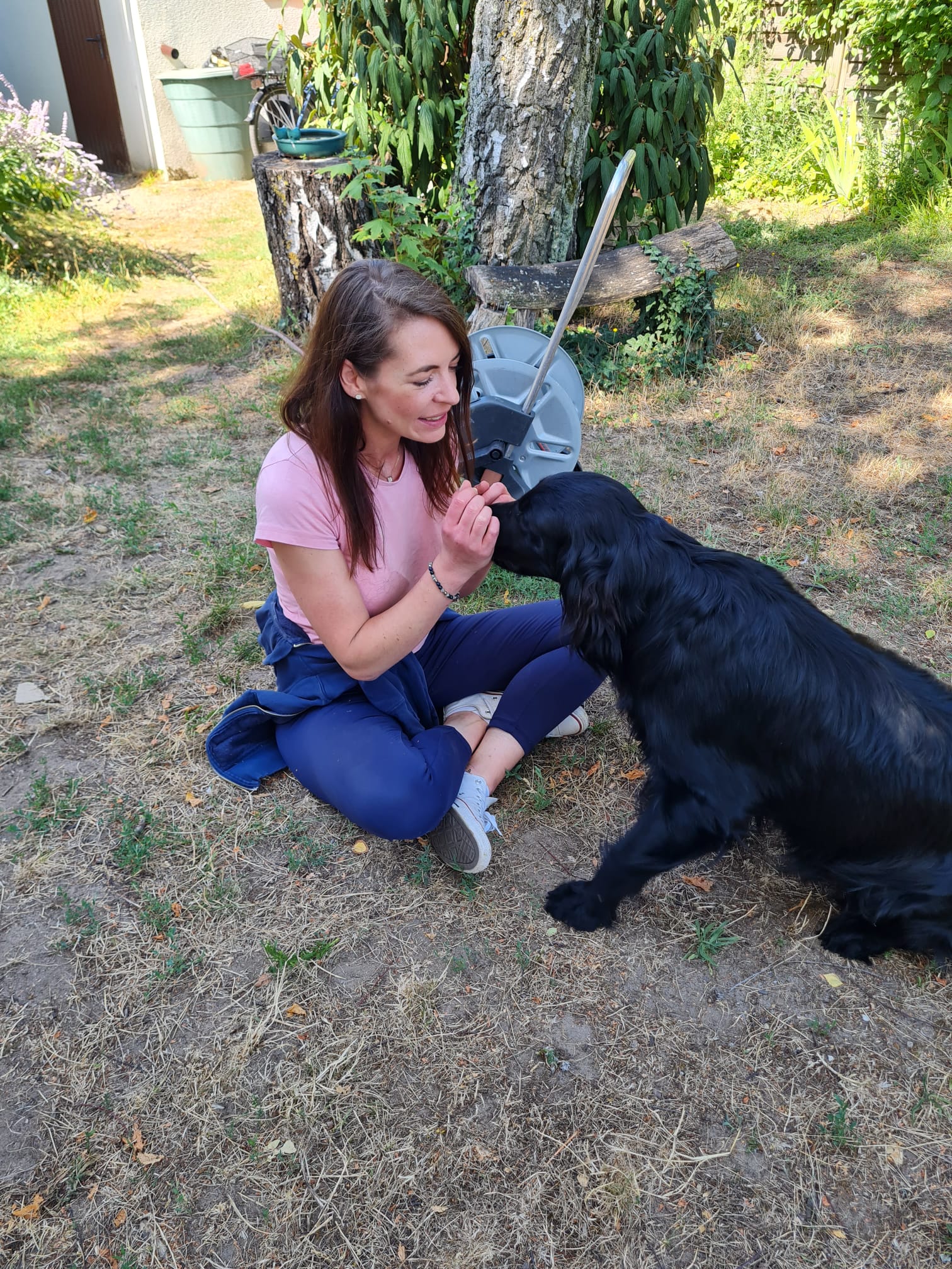 Assistenzhund nach Schlaganfall und chronischem Blutkrebs campaign photo, 2 of 5