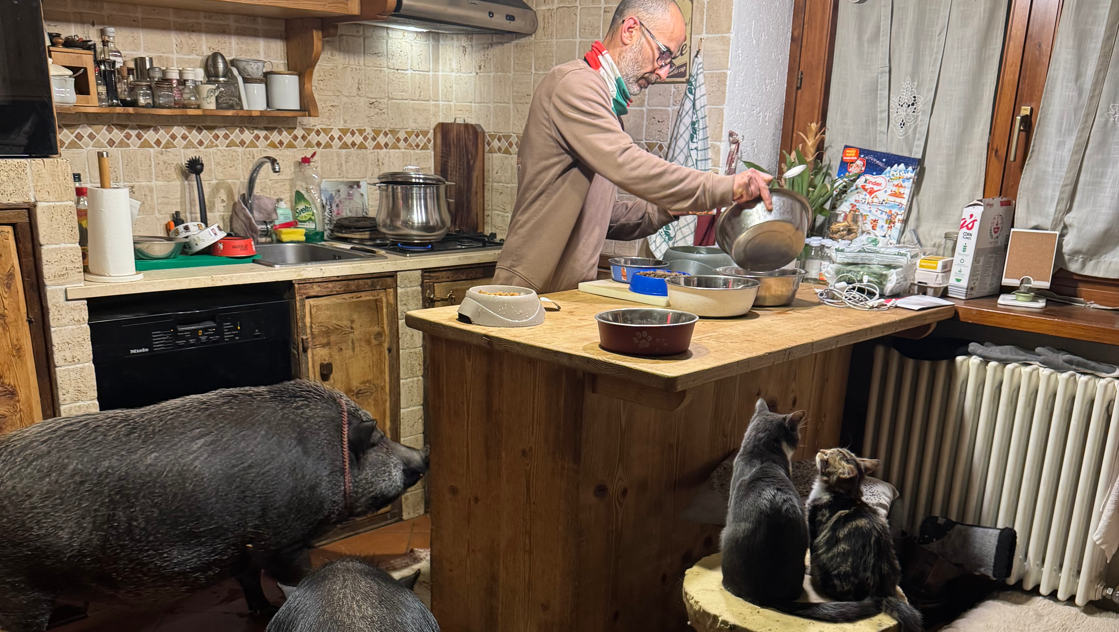 Ultimi 60 giorni: salva la nostra casa e 100 animali photo