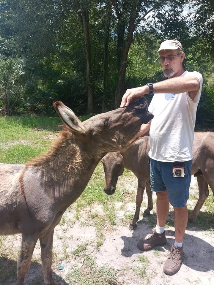 Support Jeff’s Heart Surgery Recovery and new medical issues campaign photo, 4 of 8