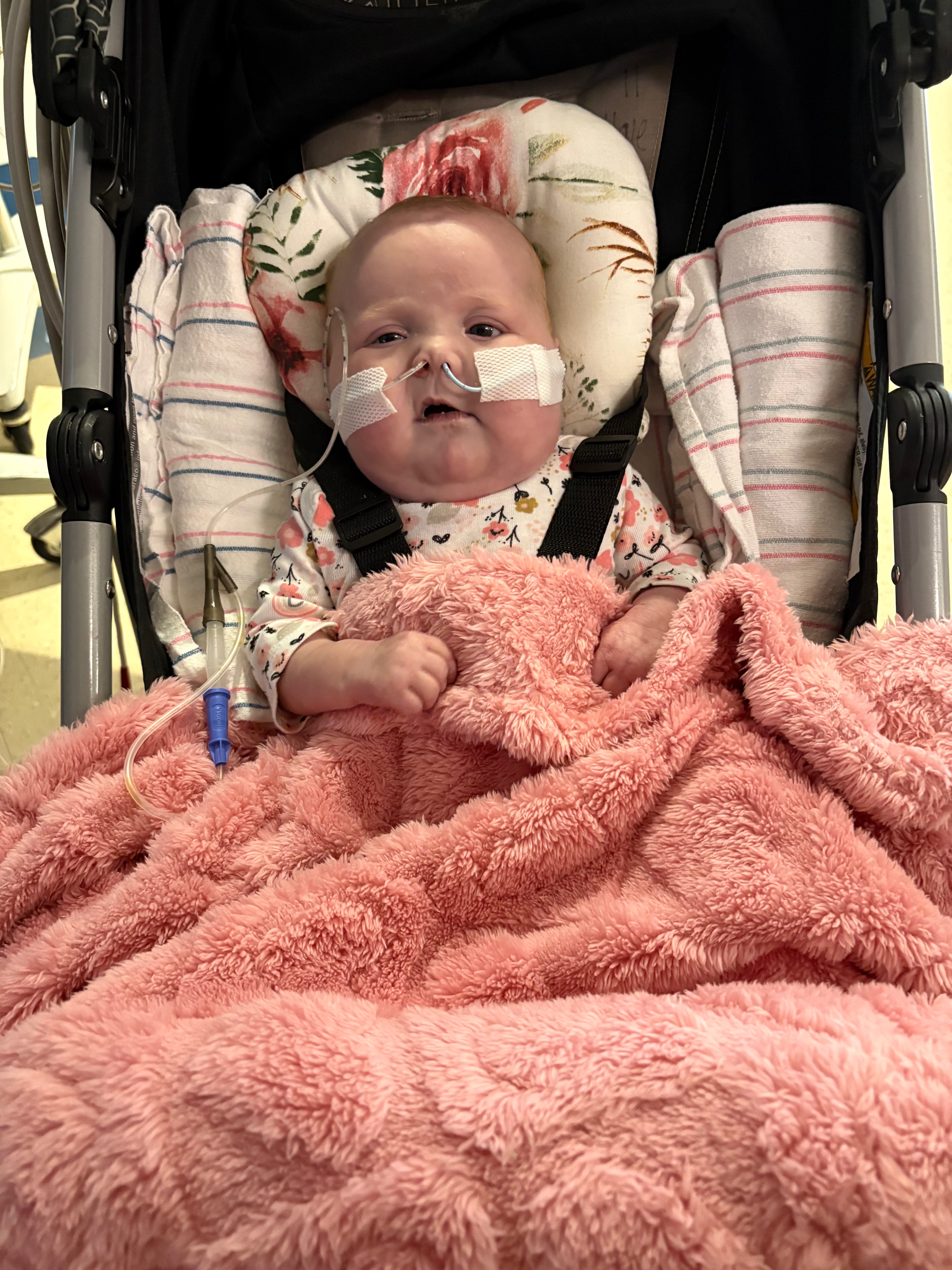 Help Us Support Olivia, Our CHD Warrior Baby campaign photo, 6 of 8