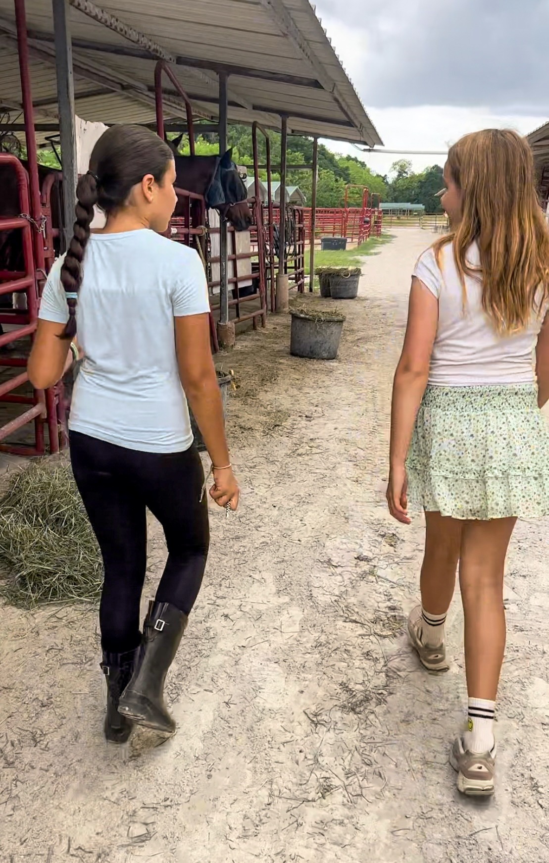 Foto de la campaña Give Rescue Horses A Second Chance, 7 de 8