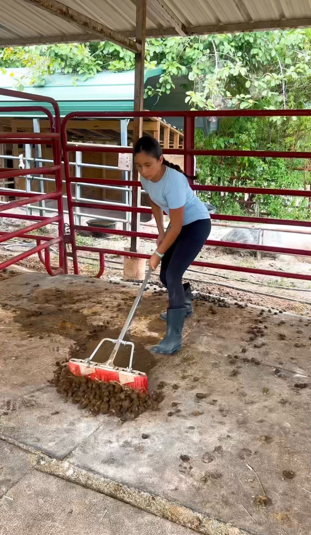 Foto de la campaña Give Rescue Horses A Second Chance, 5 de 8