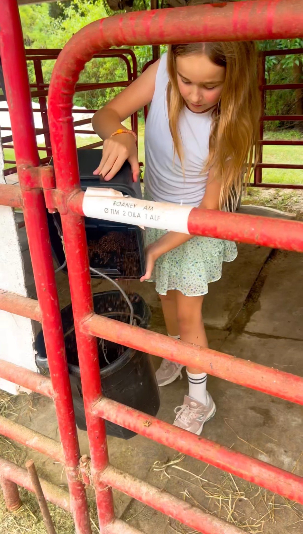 Foto de la campaña Give Rescue Horses A Second Chance, 6 de 8
