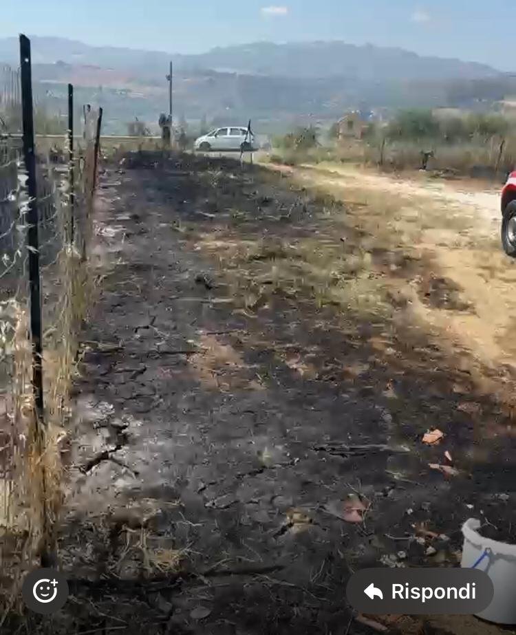 Abbiamo bisogno del vostro aiuto - URGENTE INCENDIO campaign photo, 4 of 8