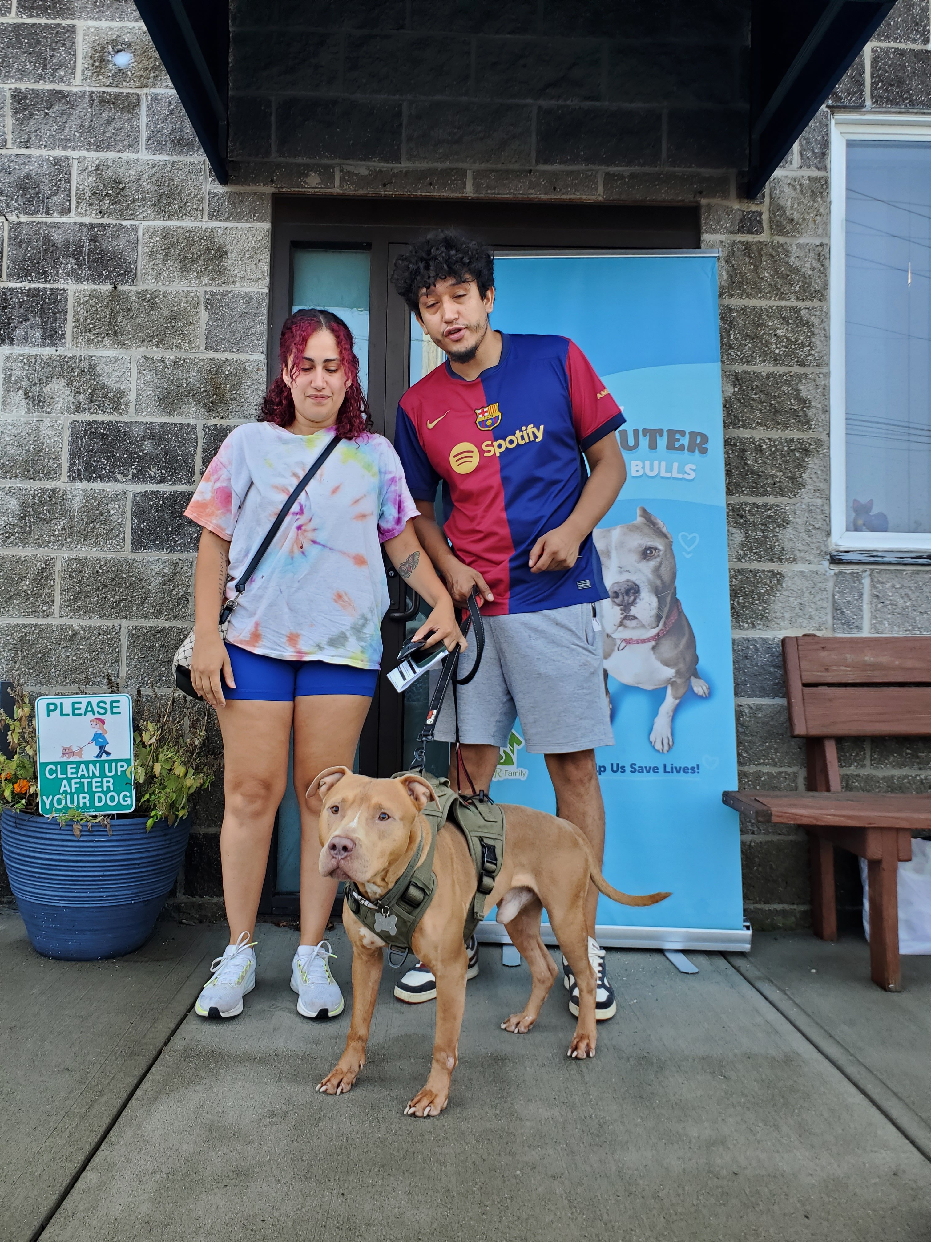 Help Sponsor "Free Spay & Neuter Day for Pit Bulls" campaign photo, 5 of 8