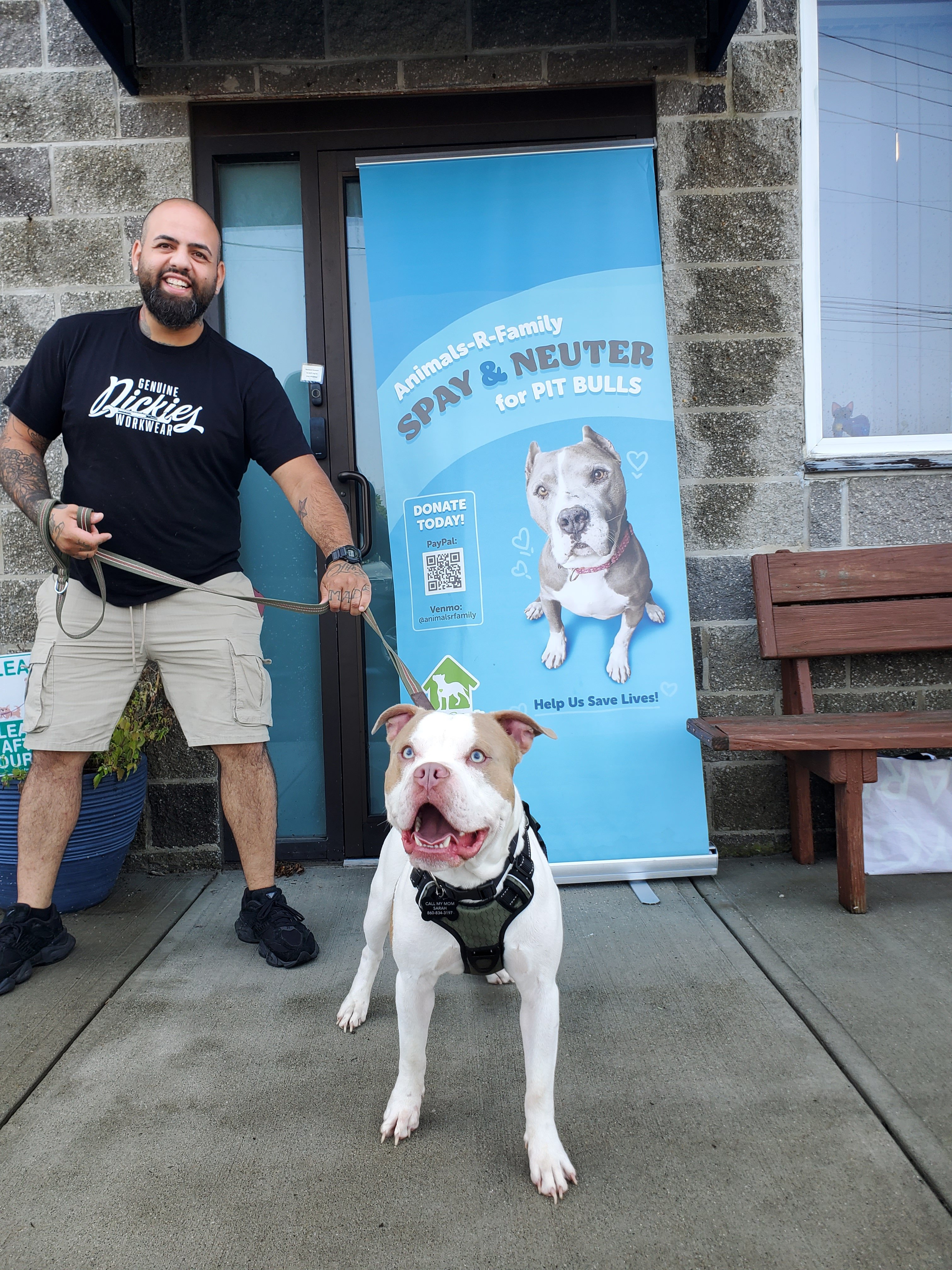 Help Sponsor "Free Spay & Neuter Day for Pit Bulls" campaign photo, 6 of 8