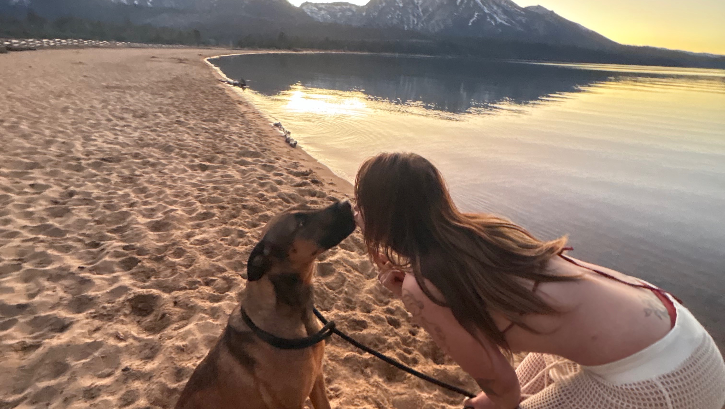 Help Aubrey's Dog Fight Cancer photo