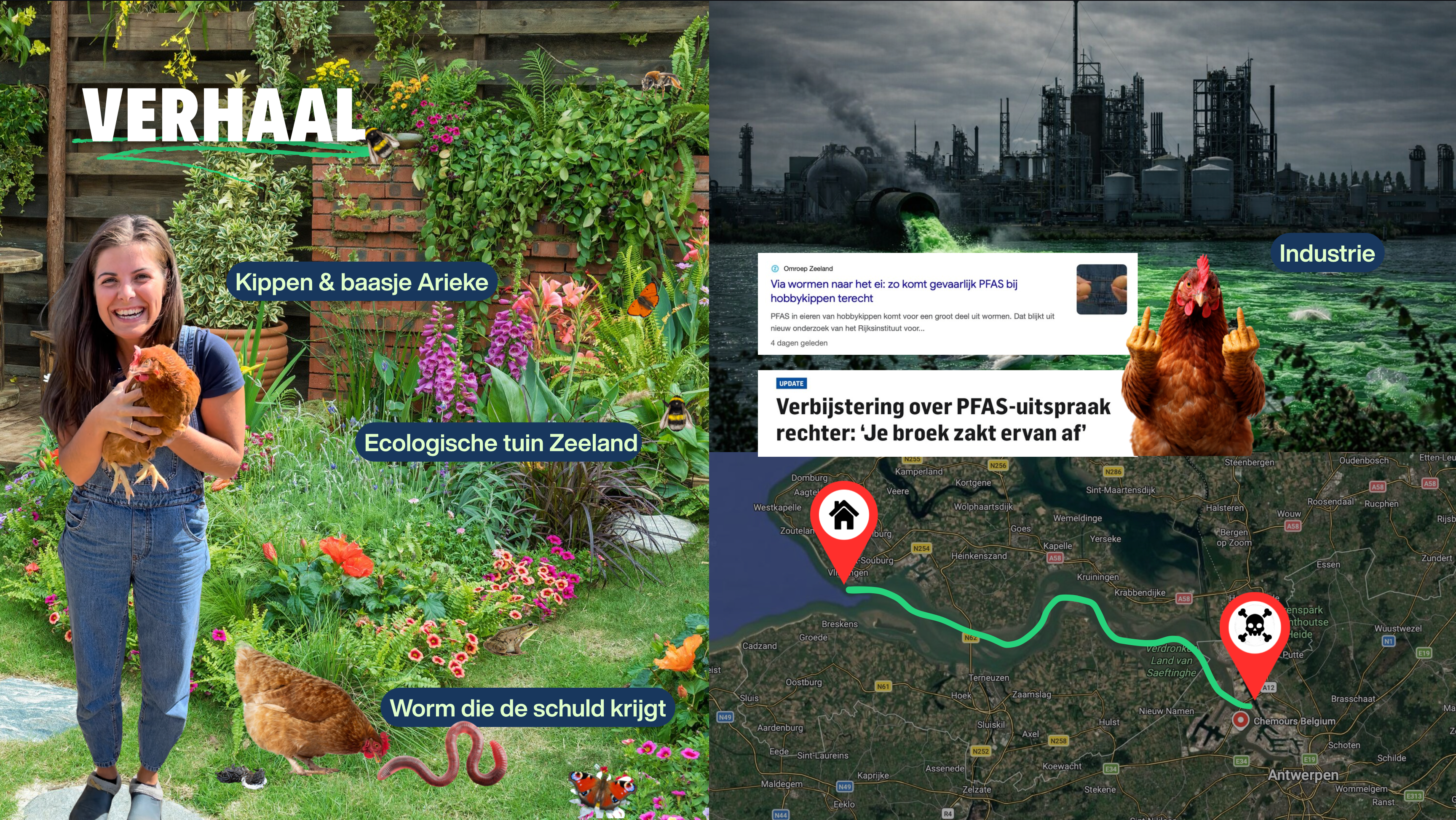 NIET PLUIS! Documentaire over PFAS in hobbykip-eieren campaign photo, 5 of 7