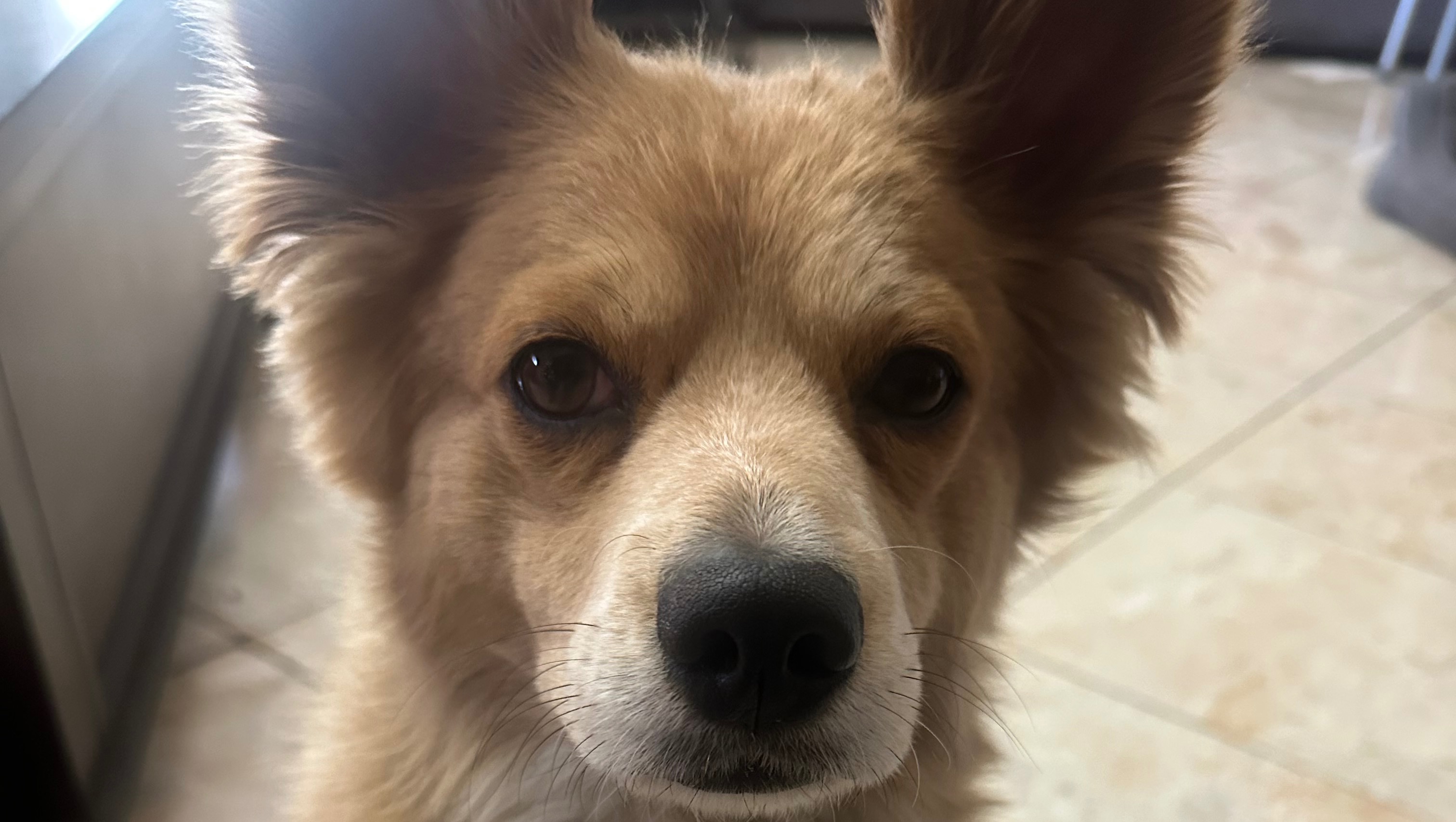 Help Friends Find a Home After 5 Months Homeless photo