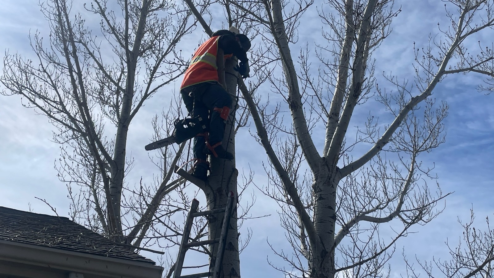 Help Drew Get a Truck for Work photo