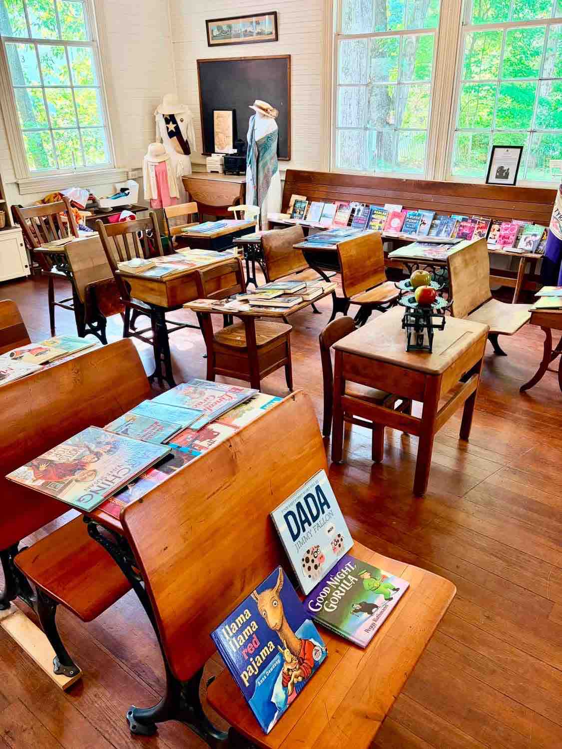 Help Luci’s Mobile Library bring books to families in need campaign photo, 7 of 9
