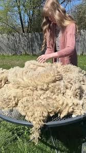Support Pamela’s Dream of a Fiber Farm campaign photo, 7 of 8