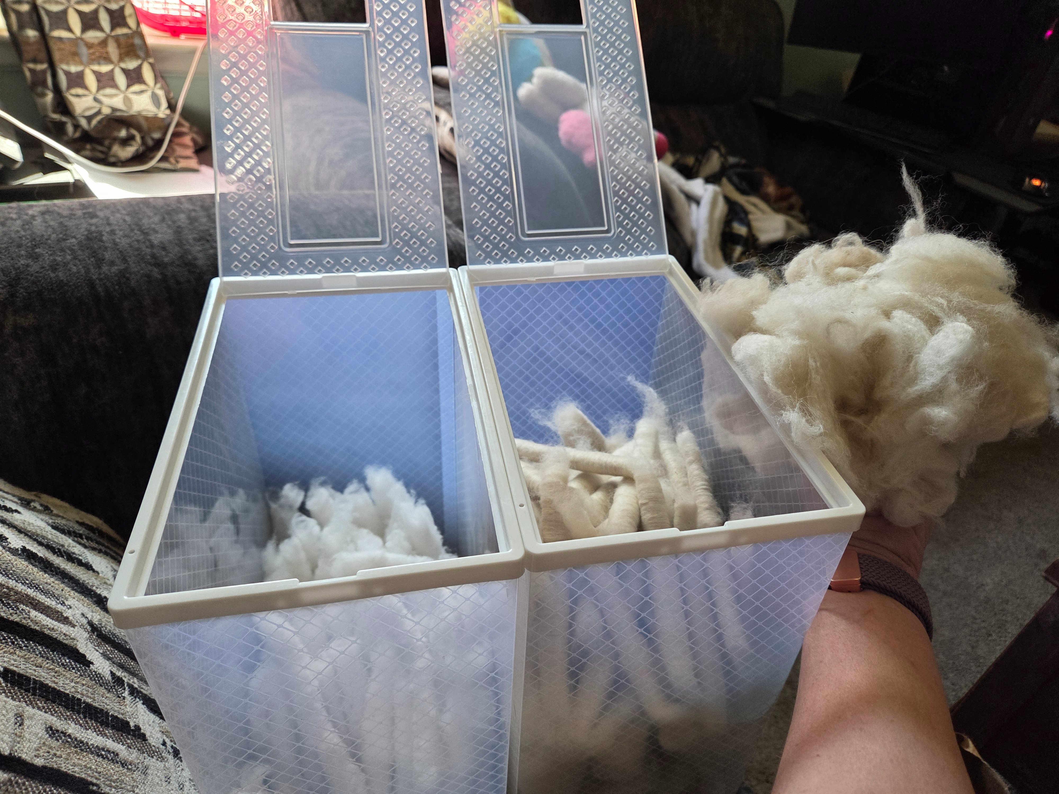 Support Pamela’s Dream of a Fiber Farm campaign photo, 5 of 8