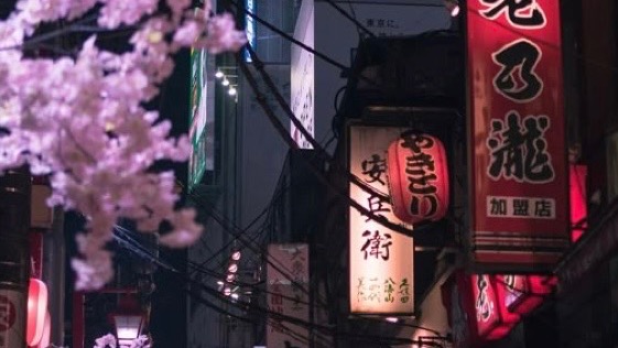 Help Me Explore Japan for Personal Growth photo