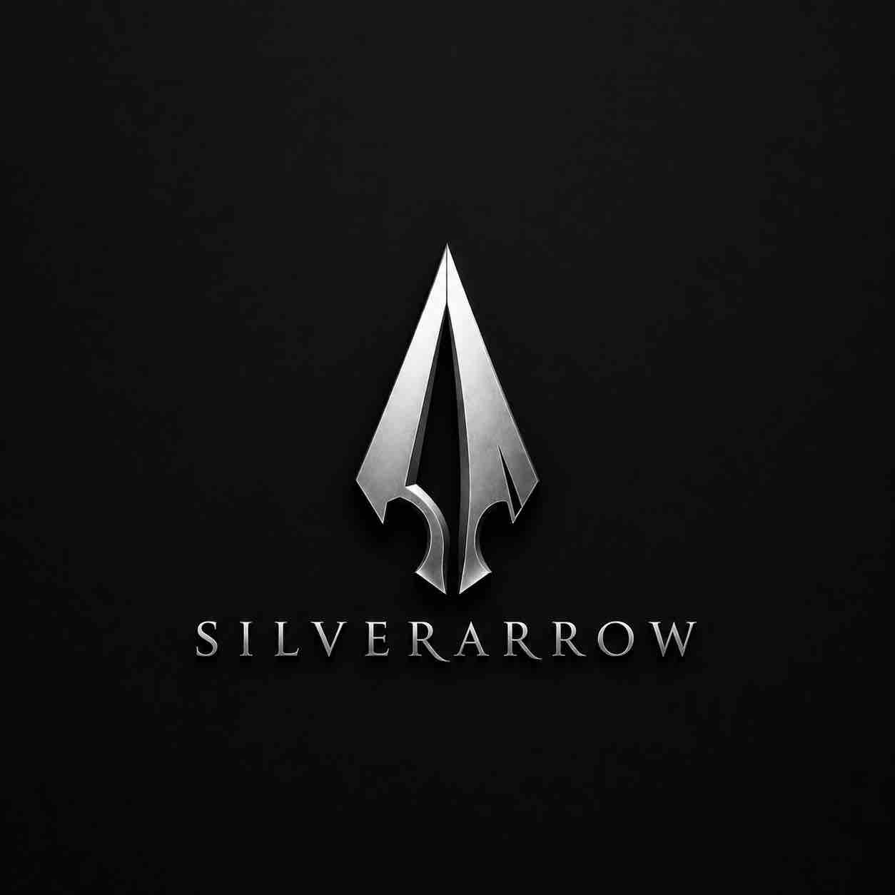 Help Fund SilverArrow's Privacy Protections campaign photo, 4 of 12