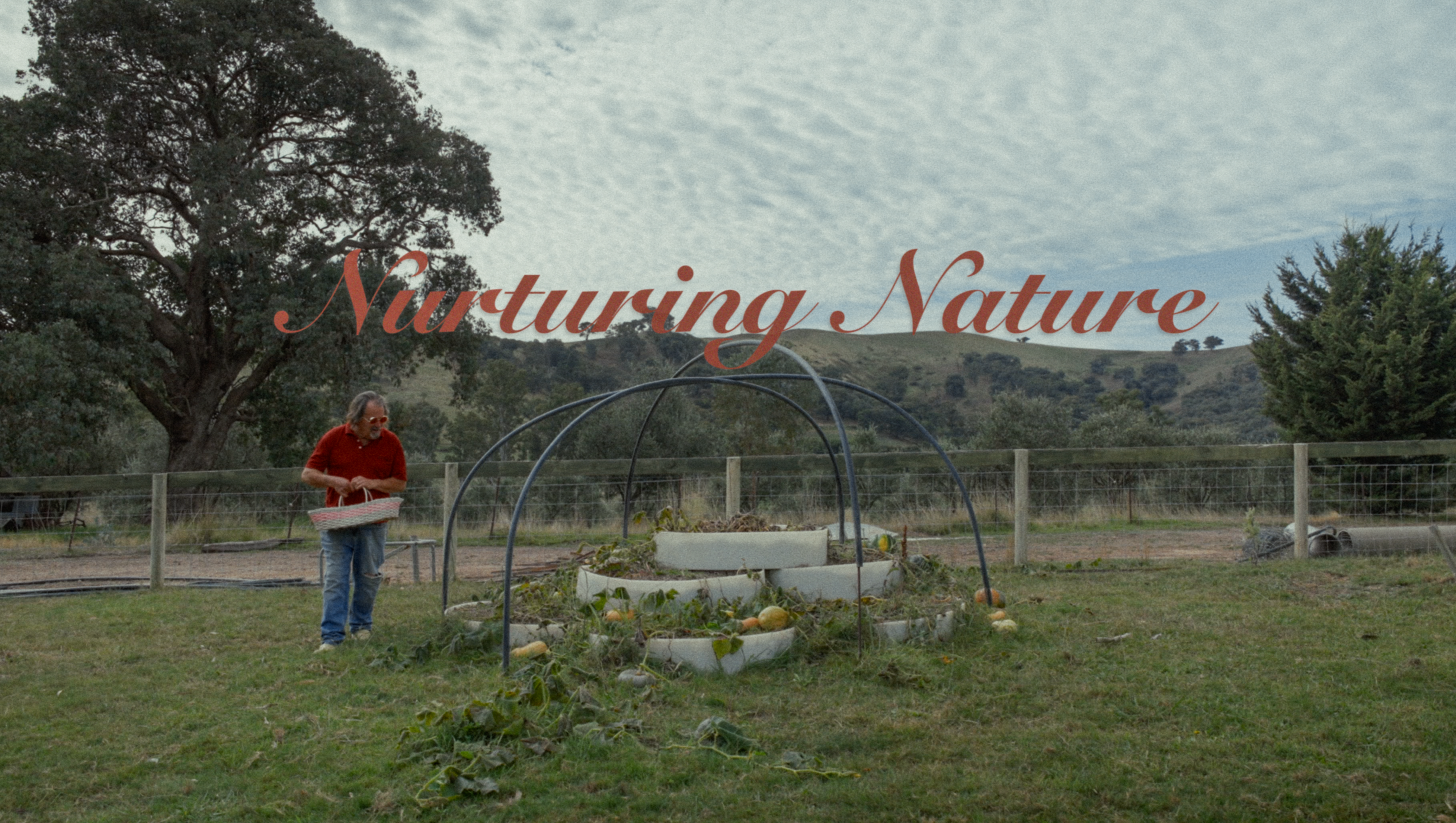 'Nurturing Nature' Short Documentary photo