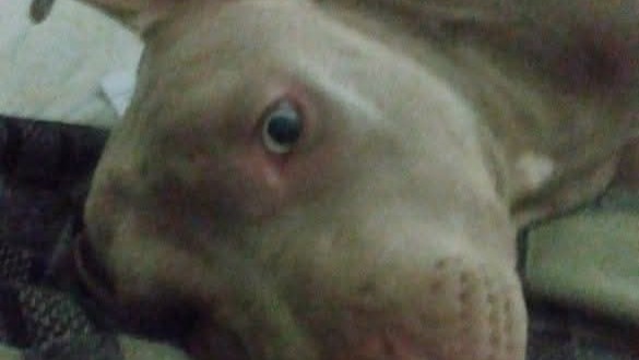 Anything Helps to Bring Baby Home photo