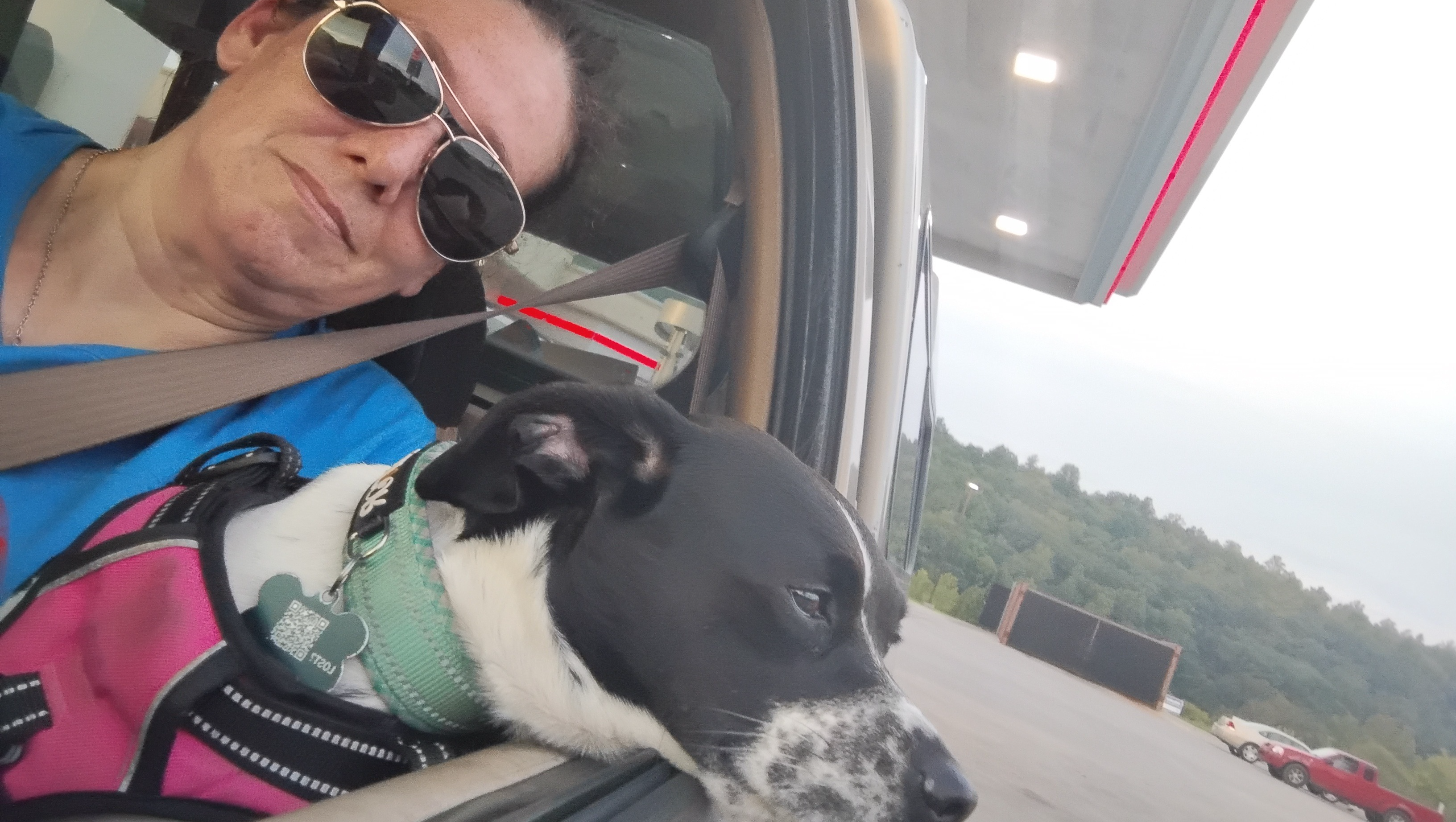 Help Michelle & Her Dog Find a Home photo