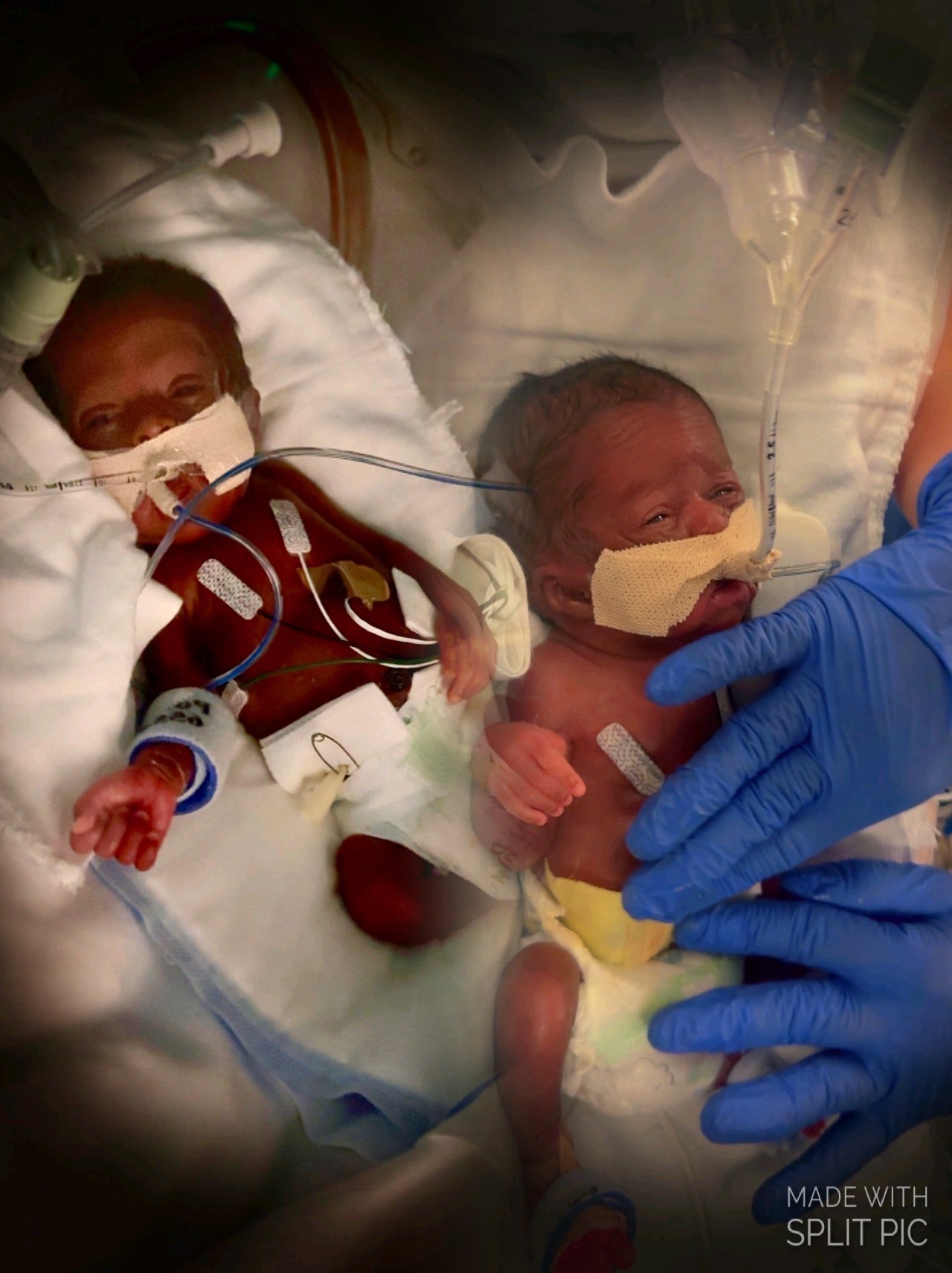 Help a Family Forever Changed by Tragedy campaign photo, 7 of 8