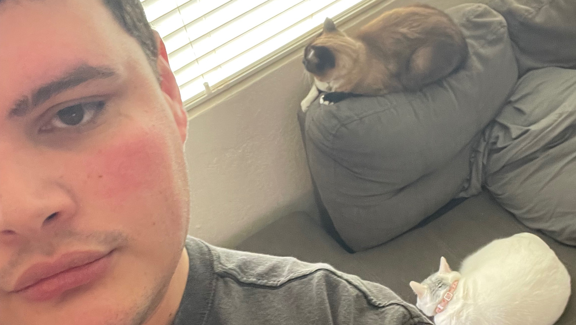Help Everardo & Cats Stay Housed photo