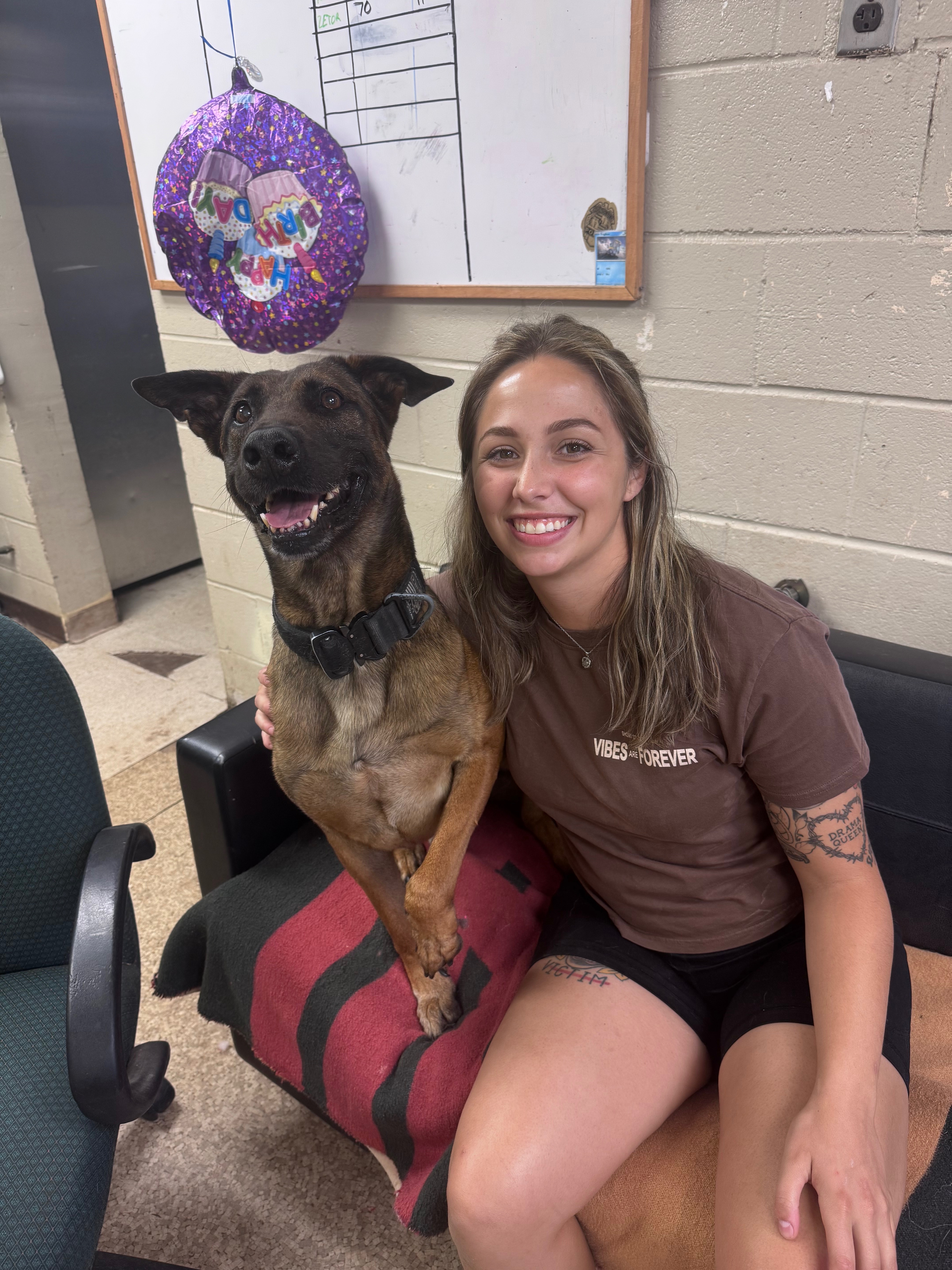 Help a Retired Military Dog Start His New Life campaign photo, 4 of 7
